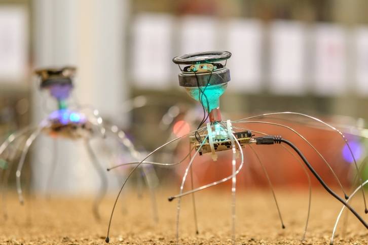 Electronic cricket, DIY electronics