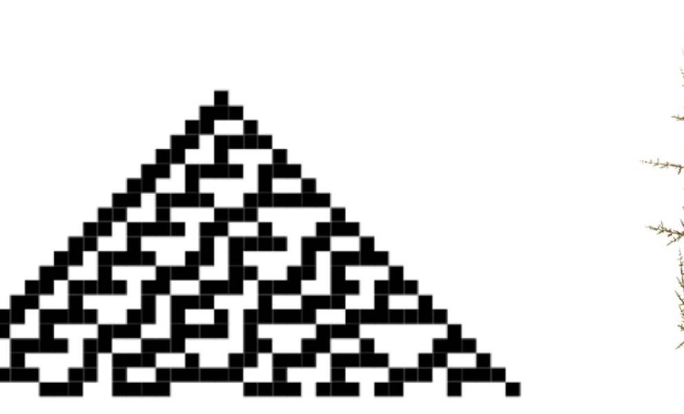 Markov-Kette, Cellular_Automaton, Lindenmayer System