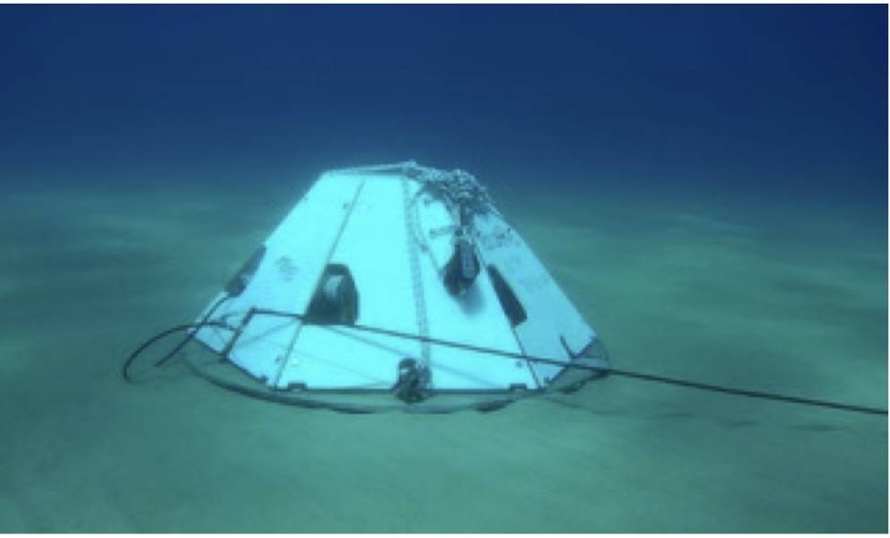 Hydrophone