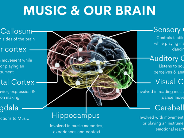 Music & our brain
