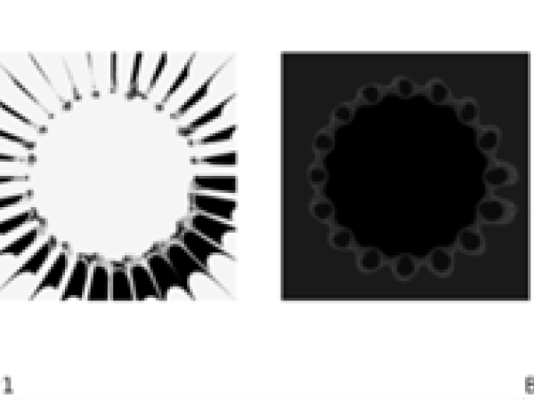 Clifford and non-Clifford fractal images