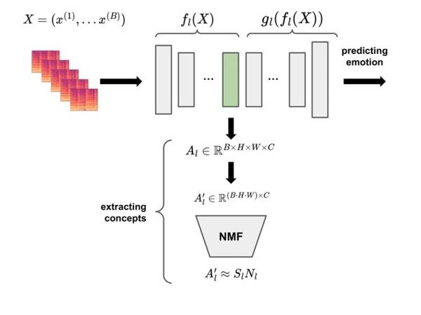 Extracting concepts of an arbitrary layer l