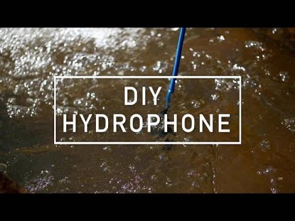 Preview image for the media "DIY Hydrophone".